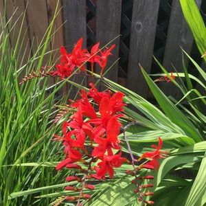 Meet your Posher, Jill